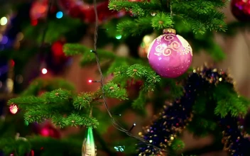 Video Stock Christmas Tree Decoration For PC