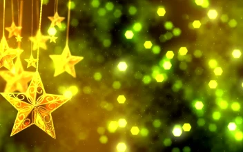 Video Stock Christmas Tree Decoration Concept For PC