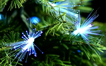 Video Stock Christmas Tree Decorated With Optic Fiber For PC