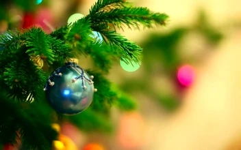 Video Stock Christmas Sphere Hanging In The Tree For PC