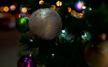 Video Stock Christmas Decorations Outside For PC