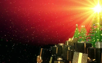 Video Stock Christmas Concept Title Video With Trees And Gifts For PC