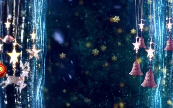 Video Stock Christmas Background While Snowing D Animation For PC