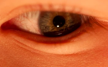 Video Stock Childs Eye Looking Around For PC