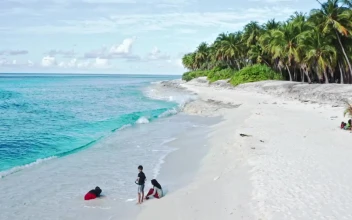 Video Stock Children Swimming In Ocean For PC