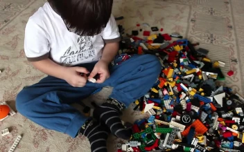 Video Stock Children Playing On The Floor With Lego Cubes For PC