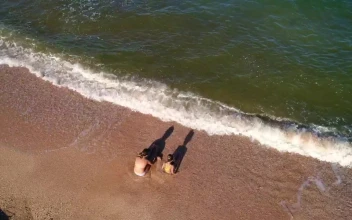 Video Stock Children Playing In The Seashore Top Aerial Shot For PC