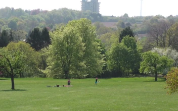 Video Stock Children Playing In The Park Seen From Afar For PC