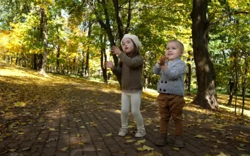 Video Stock Children Clapping Outside For PC