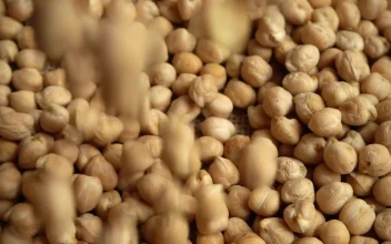 Video Stock Chickpeas Falling Onto A Table For PC