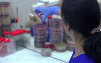 Video Stock Chemist Working With Viruses Samples In The Lab For PC