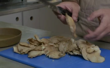 Video Stock Chef Chopping Mushrooms In The Kitchen For PC