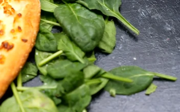 Video Stock Cheese Pizza With Salad Leaves For PC