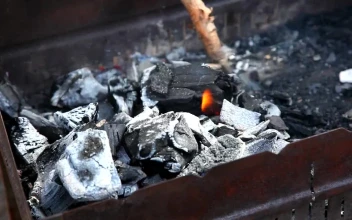 Video Stock Charcoal Being Lit With Wind For PC