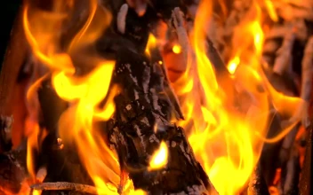 Video Stock Charcoal And Wood Fire Burning For PC