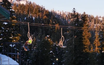 Video Stock Chairlift On A Snowy Mountain Full Of Pine Trees For PC