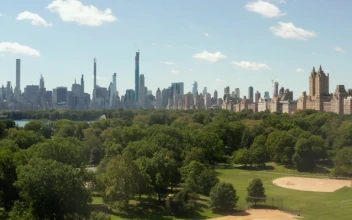 Video Stock Central Park With Buildings On The Skyline For PC