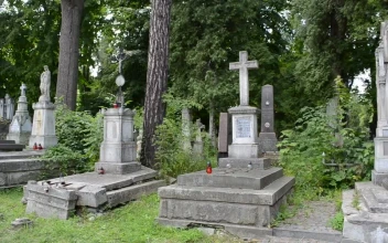 Video Stock Cemetery Surrounded By Trees For PC