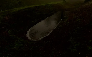 Video Stock Castle Wall In A Misty Forest For PC