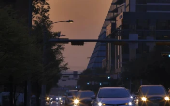 Video Stock Cars On An Avenue Of A Big City During Sunset For PC