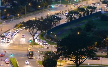 Video Stock Cars In The Traffic Of A Popular Avenue For PC