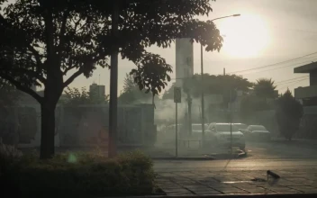 Video Stock Cars Driving Under A Tree For PC