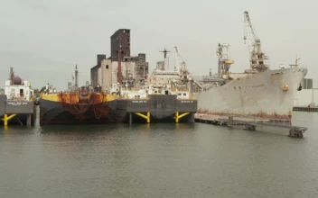 Video Stock Cargo Ships Anchored In The International Port For PC