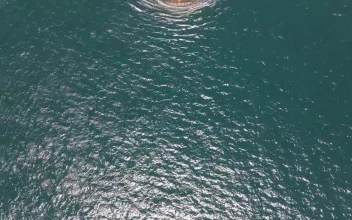 Video Stock Cargo Ship Seen From Top For PC