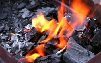 Video Stock Carbon Chunks And Flames Burning In The Brazier For PC