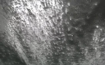 Video Stock Car Washing Machine Working Seen From Inside For PC