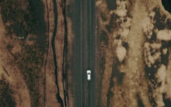 Video Stock Car Driving Through Wilderness For PC