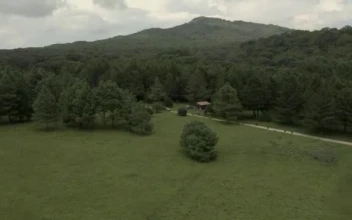 Video Stock Car Crossing A Meadow In The Middle Of A Large Smal For PC