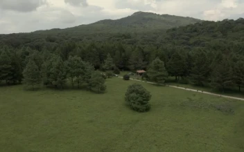 Video Stock Car Crossing A Meadow In The Middle Of A Large For PC