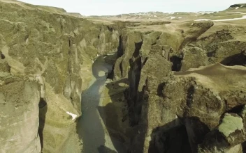 Video Stock Canyon Covered In Moss For PC