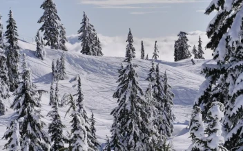 Video Stock Canadian Mountain Peak Environment For PC