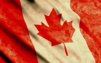 Video Stock Canada Faded D Flag For PC