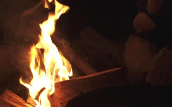 Video Stock Campfire Burning Wood Logs In The Dark For PC