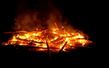 Video Stock Camp Fire Burning In The Night For PC