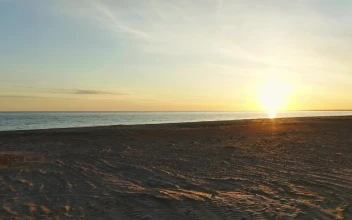 Video Stock Calm Waters At The Beach For PC