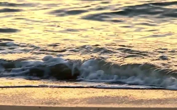 Video Stock Calm Waves Breaking On An Empty Beach For PC