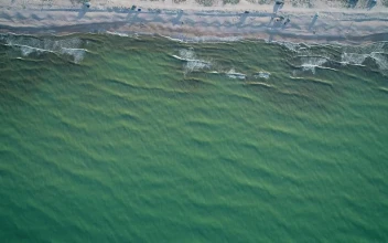 Video Stock Calm Sea Reaching The Beach Top Aerial Shot For PC