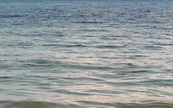 Video Stock Calm Ocean Near The Shore For PC