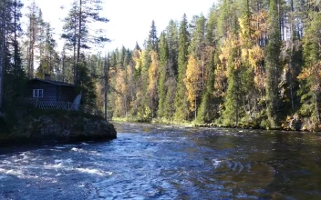Video Stock Cabin In The Woods And A River For PC