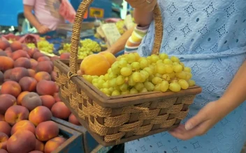 Video Stock Buying Fruit From A Market Vendor For PC