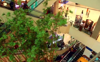 Video Stock Busy Mall Escalator Timelapse For PC