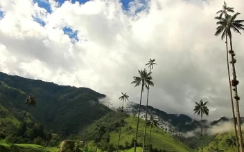Video Stock Clouds Moving Over Mountains And Palm Trees For PC