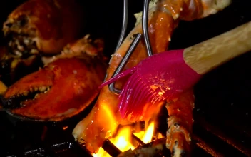 Stock Video Delicious Seafood On A Grill For PC