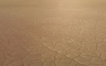 Stock Video Dehydrated Dirt Surface Texture In The Desert For PC