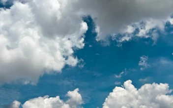 Stock Video Deep White Clouds Forming For PC