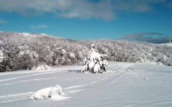 Stock Video Deep Snow Covering The Countryside For PC